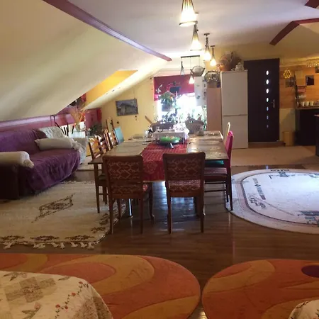 Gabi קונסטנצה